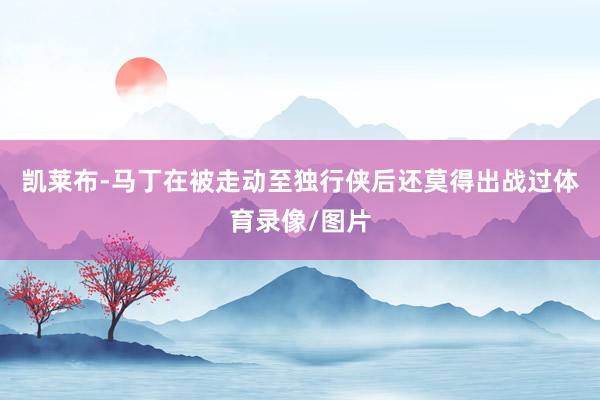 凯莱布-马丁在被走动至独行侠后还莫得出战过体育录像/图片