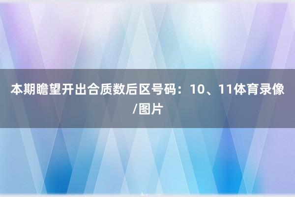 本期瞻望开出合质数后区号码:10、11体育录像/图片