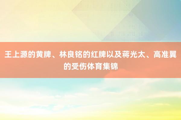 王上源的黄牌、林良铭的红牌以及蒋光太、高准翼的受伤体育集锦