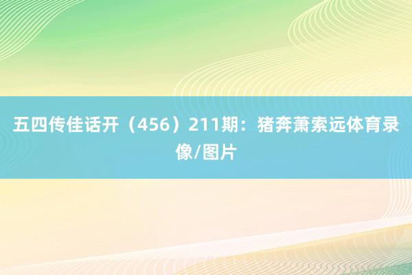 五四传佳话开（456）　　211期：猪奔萧索远体育录像/图片
