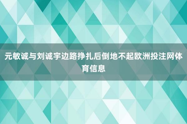 元敏诚与刘诚宇边路挣扎后倒地不起欧洲投注网体育信息