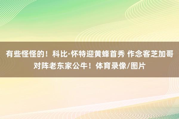 有些怪怪的！科比·怀特迎黄蜂首秀 作念客芝加哥对阵老东家公牛！体育录像/图片