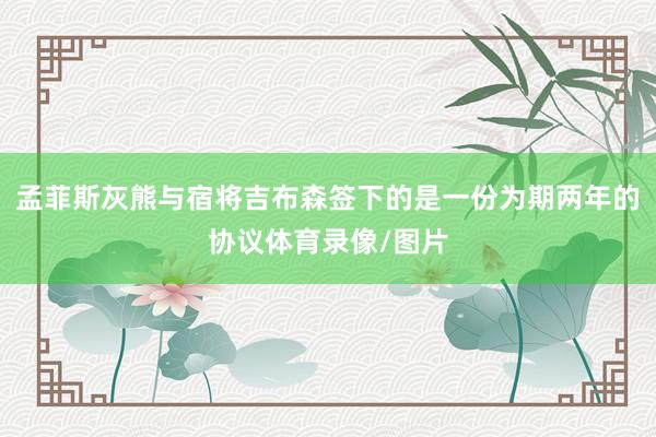 孟菲斯灰熊与宿将吉布森签下的是一份为期两年的协议体育录像/图片
