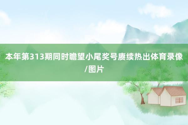 本年第313期同时瞻望小尾奖号赓续热出体育录像/图片